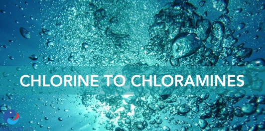 So sánh cloramin và chlorine